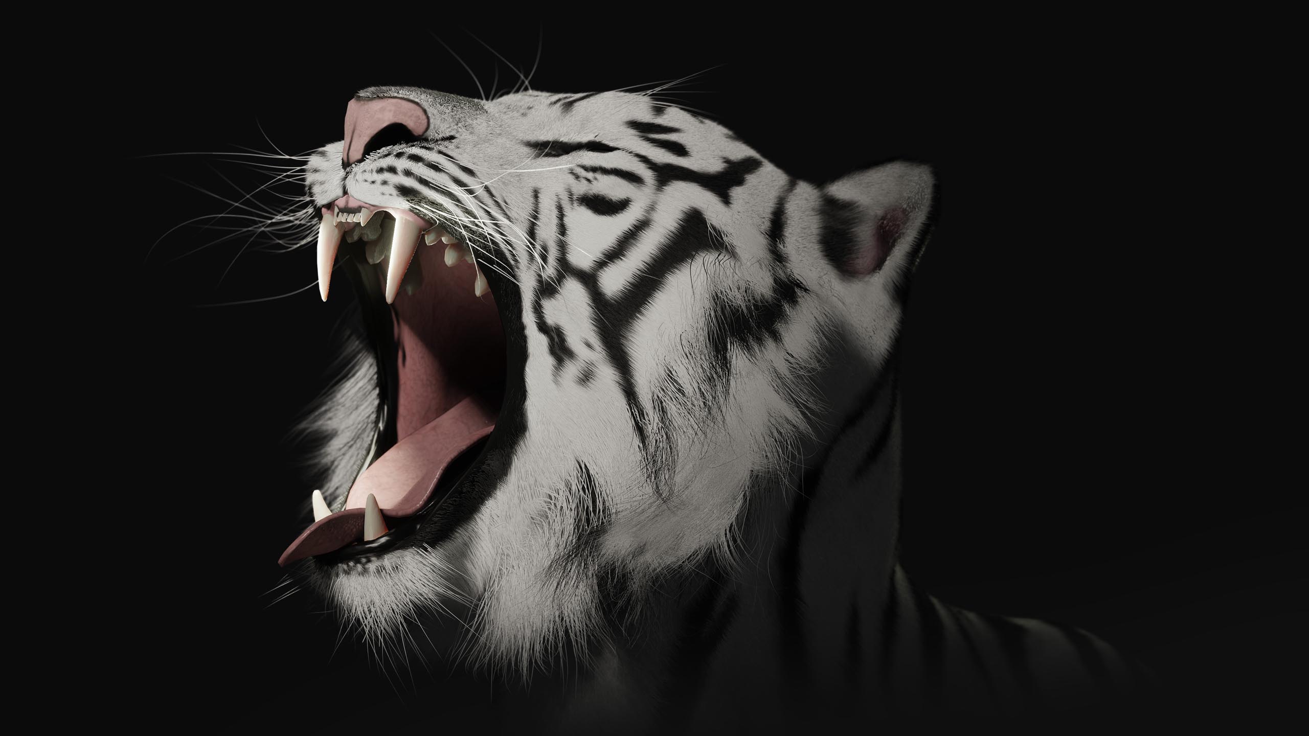 White Tiger Roaring